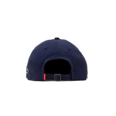 画像7: ACAPULCO GOLD / UNTOUCHABLE 6-PANEL CAP (7)