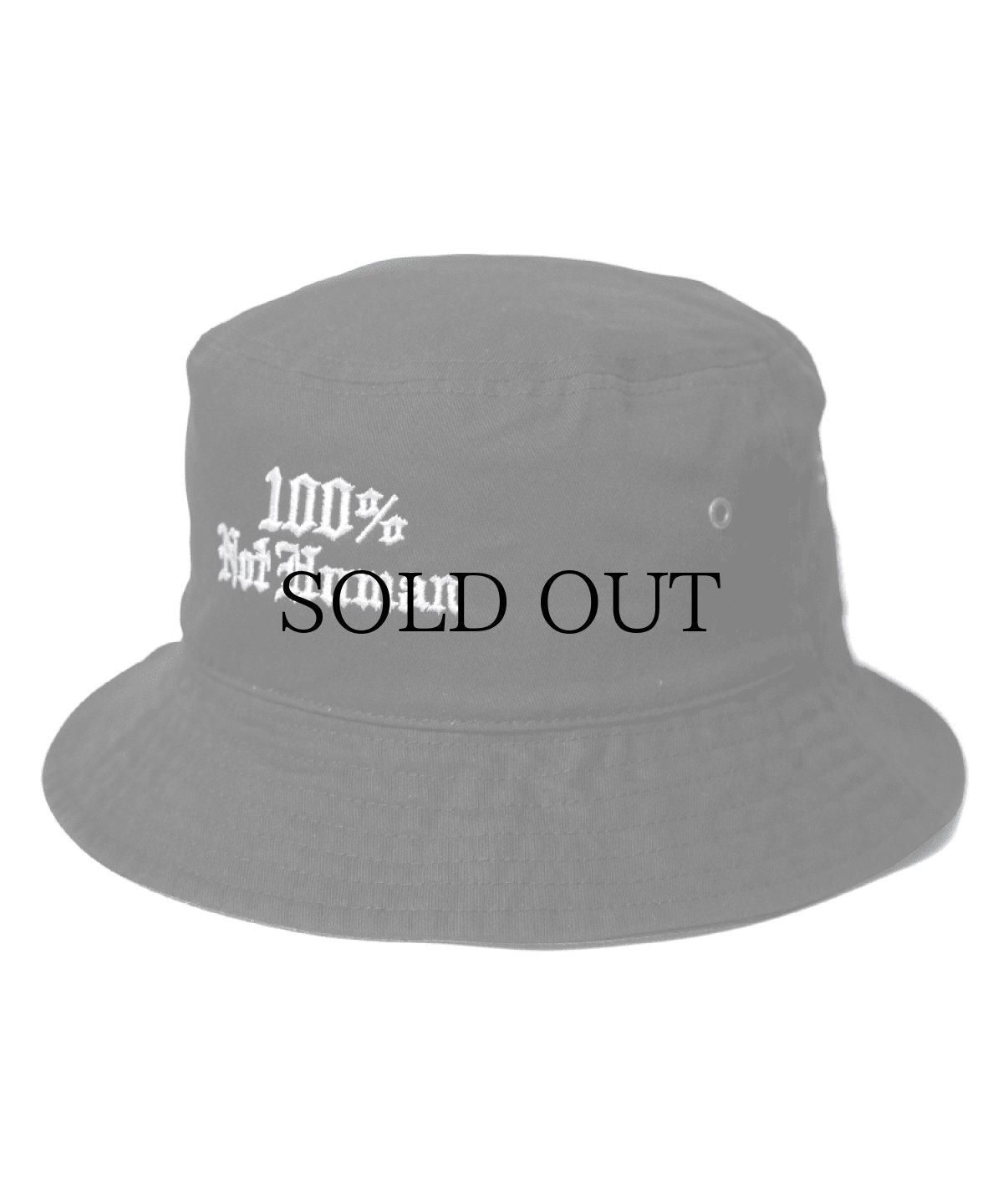 画像2: HAIGHT / 100% NOT HUMAN BUCKET HAT (2)