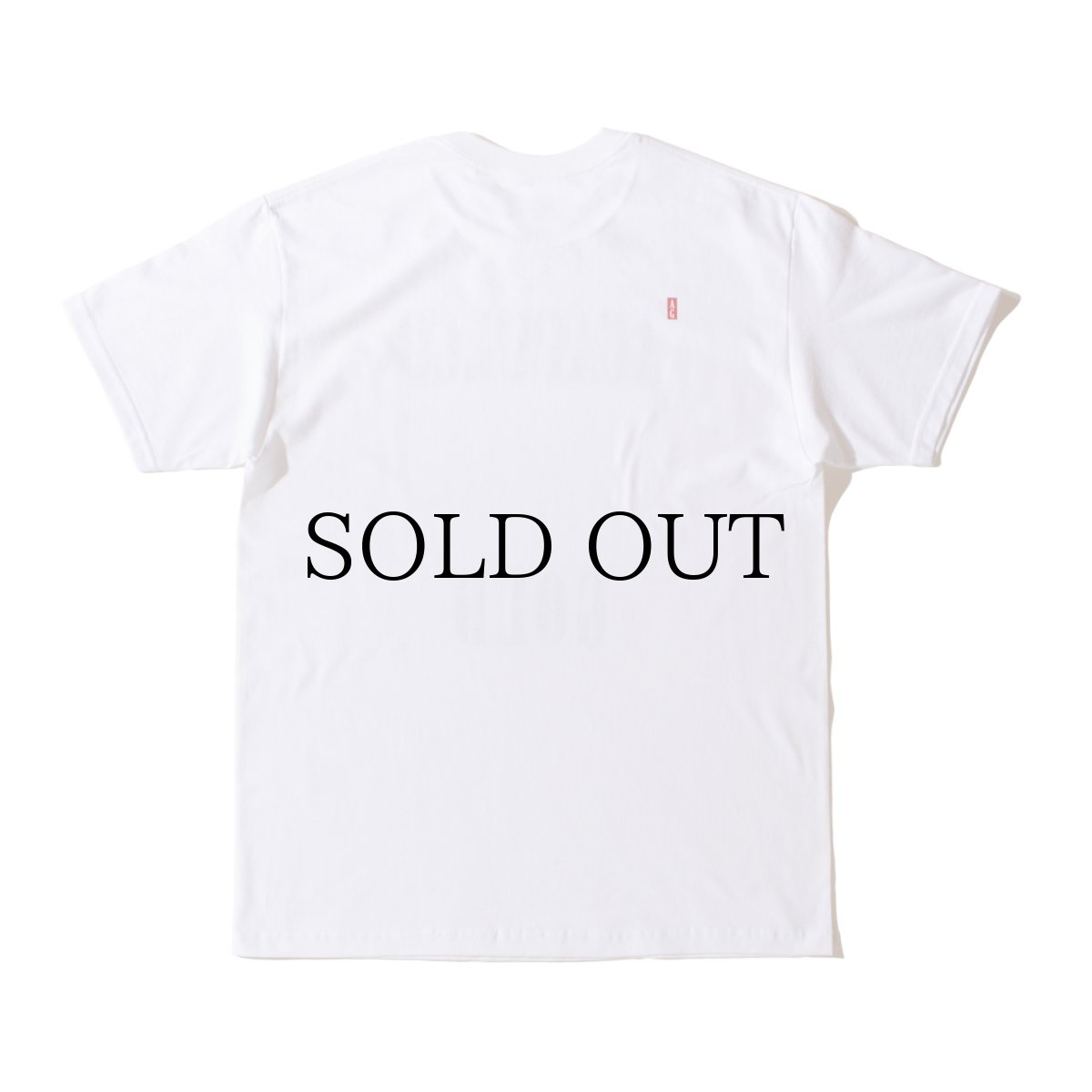 画像9: ACAPULCO GOLD / ALLEYEZONME TEE (9)