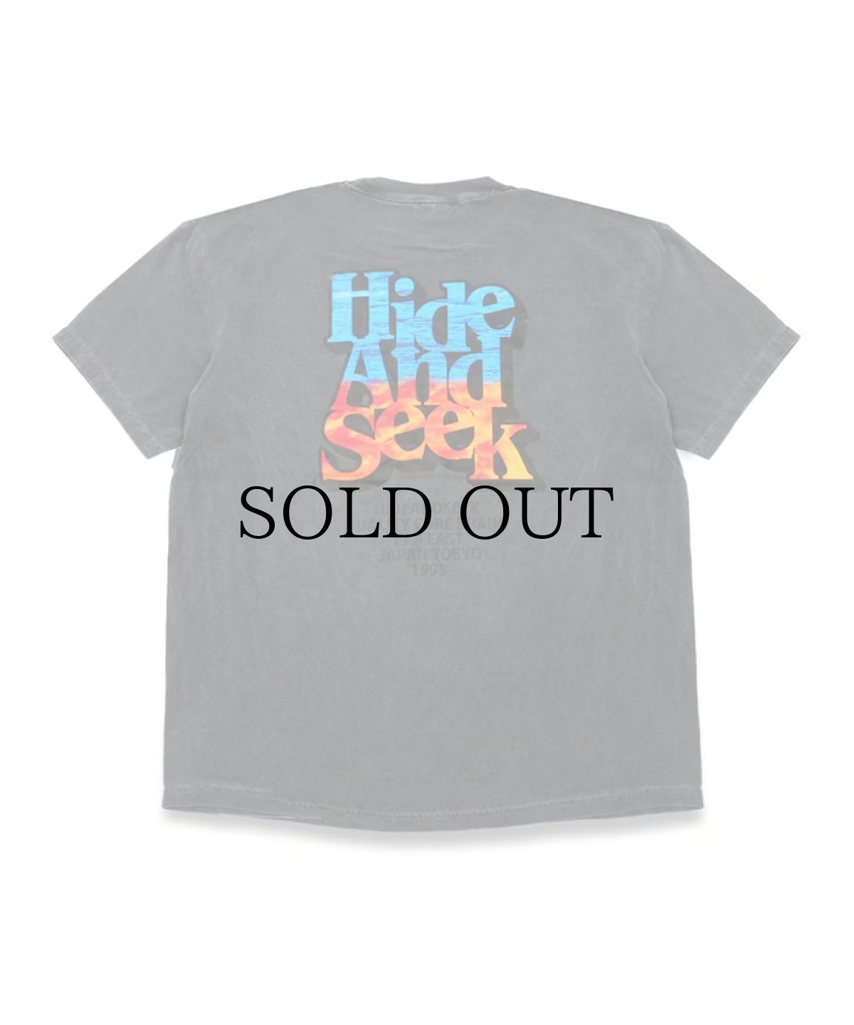 画像6: HIDEANDSEEK(ハイドアンドシーク) / Californication S/S Tee(24ss) (6)