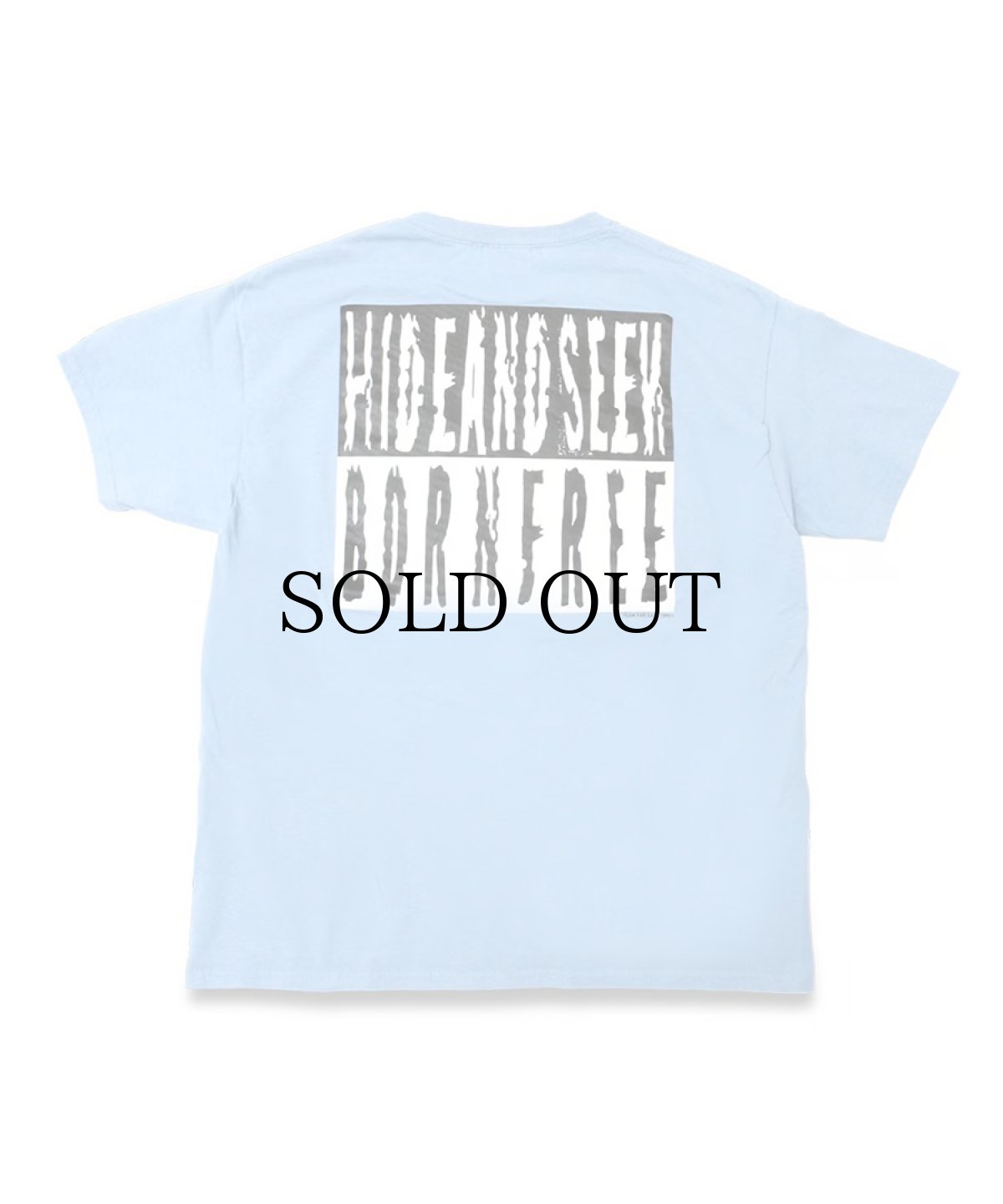 画像6: HIDEANDSEEK(ハイドアンドシーク) / S-Garden S/S Tee(24ss) (6)