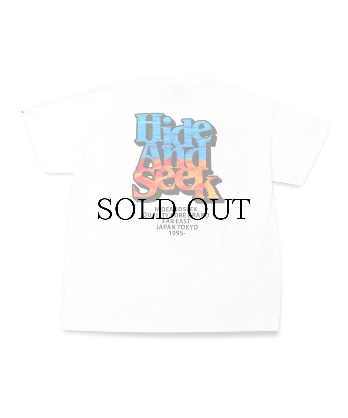 画像4: HIDEANDSEEK(ハイドアンドシーク) / Californication S/S Tee(24ss) (4)