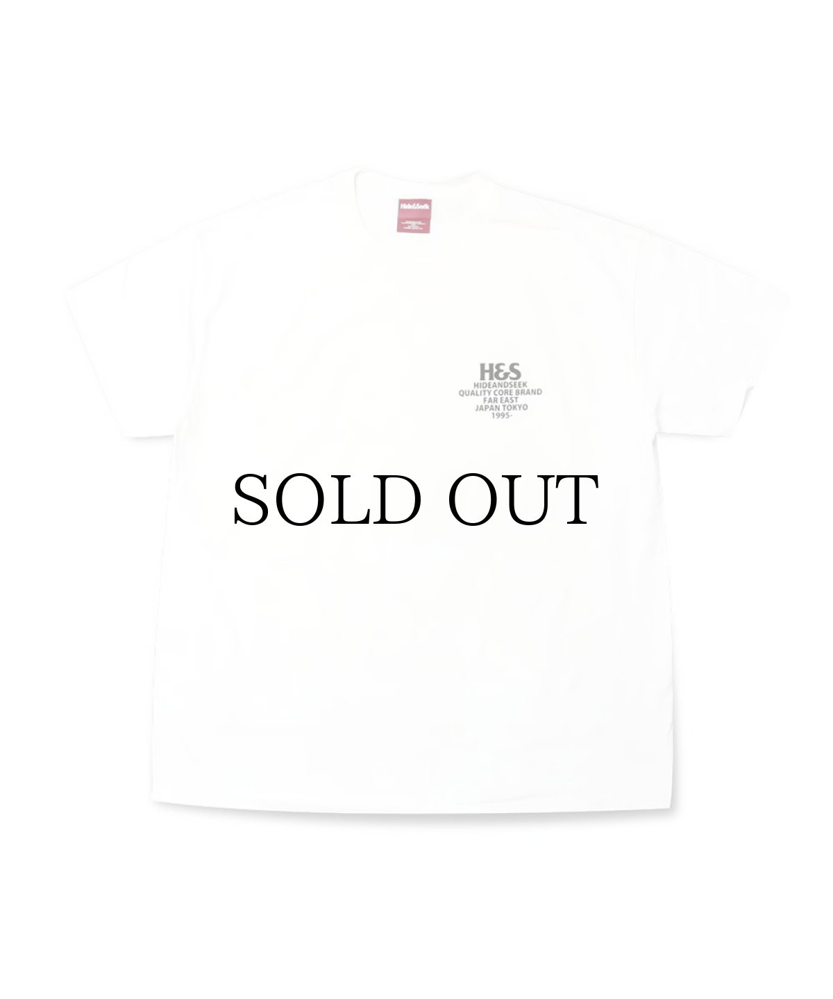 画像5: HIDEANDSEEK(ハイドアンドシーク) / Californication S/S Tee(24ss) (5)