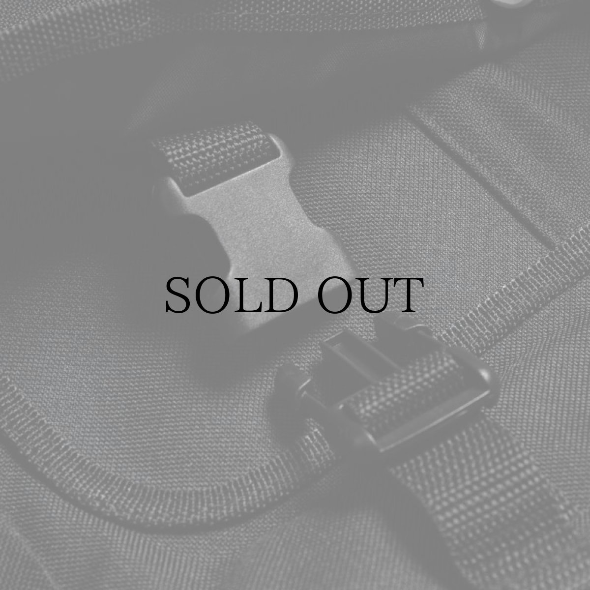 画像11: APPLEBUM(アップルバム) / LOGO MESSENGER BAG (11)