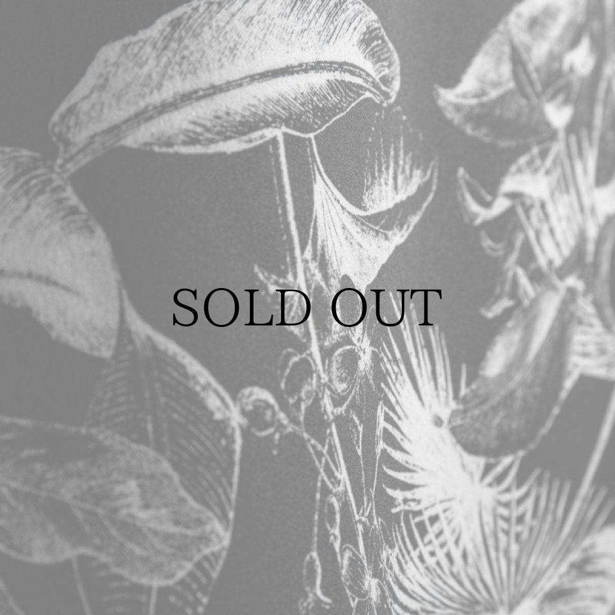 画像18: APPLEBUM(アップルバム) / "BOTANICAL" ALOHA SHIRT (18)