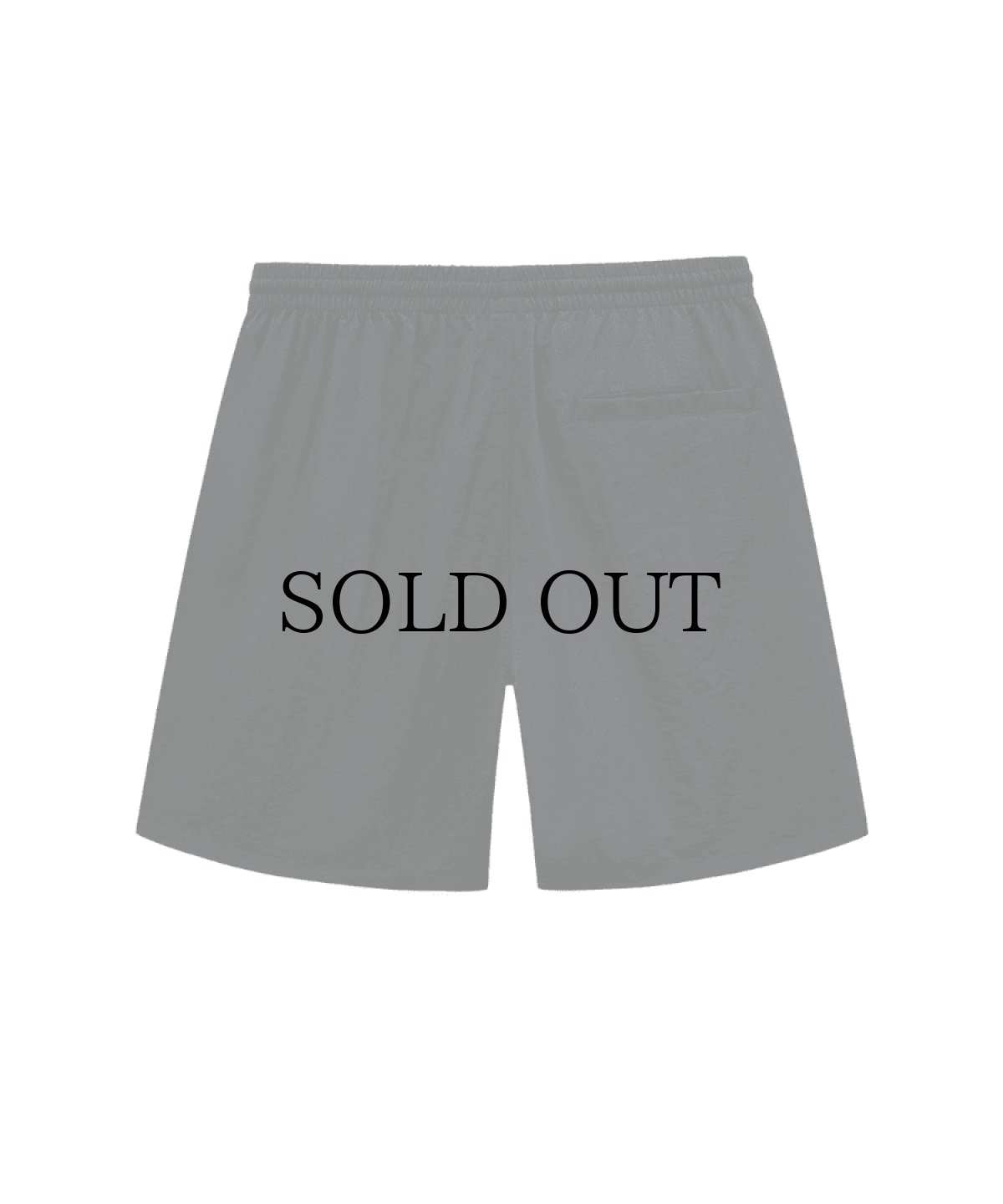 画像2: SPLR / Logo Nylon Shorts (2)
