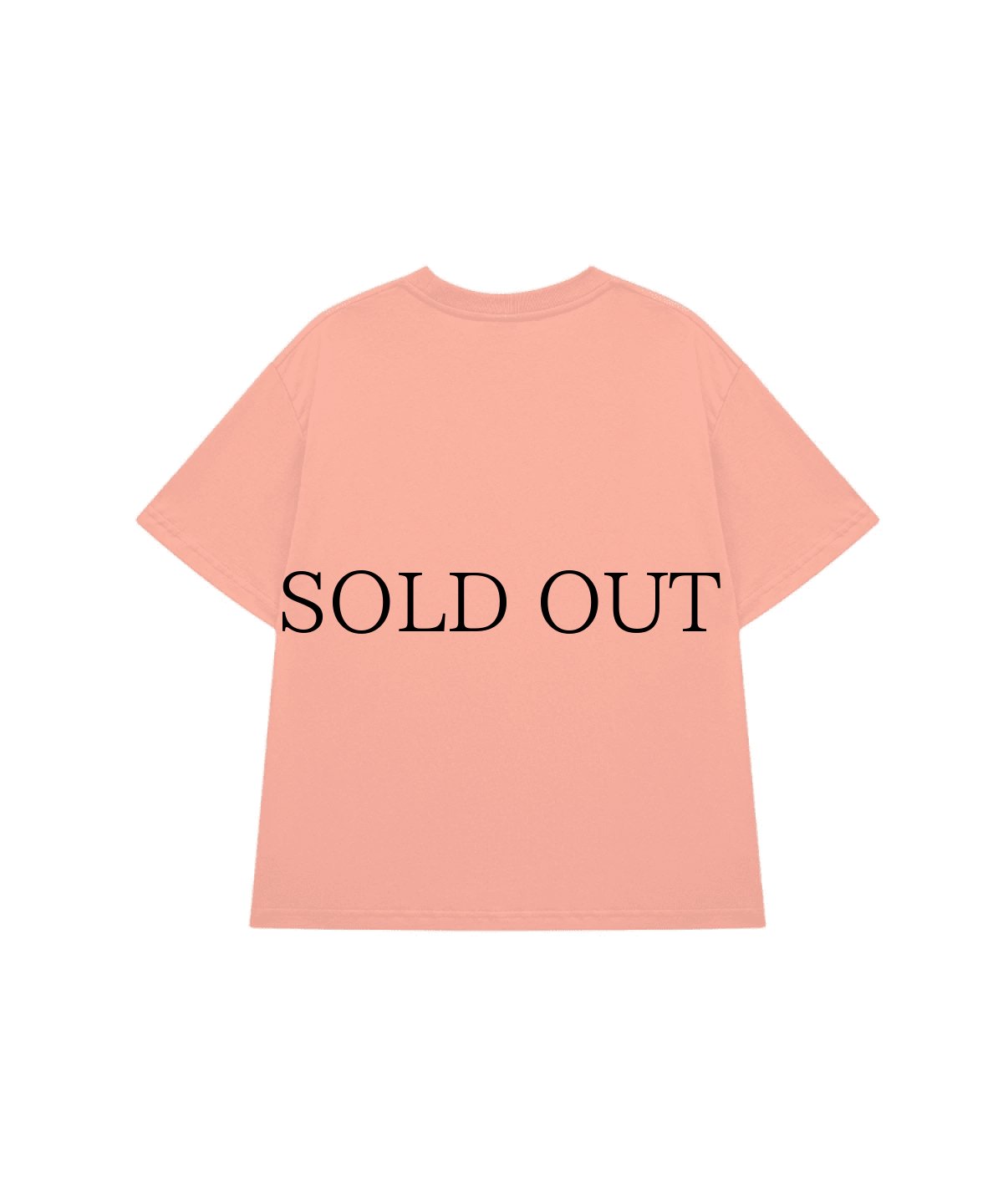 画像6: SPLR / Gradient Logo Tee (6)