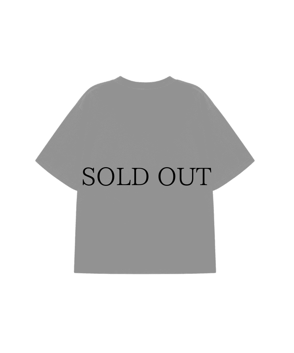 画像2: SPLR / Soap Box Fit Tee (2)