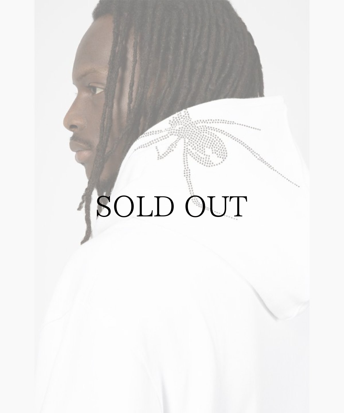 画像5: WASTED PARIS / HOODIE FULL ZIP SNATCH (5)