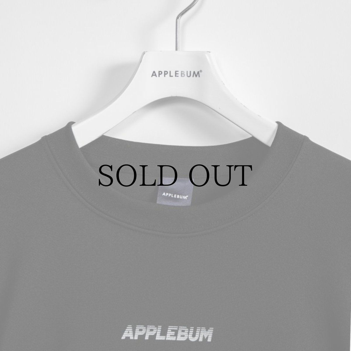 画像9: APPLEBUM(アップルバム) / ELITE PERFORMANCE (LOGO) T-SHIRT DRY (9)