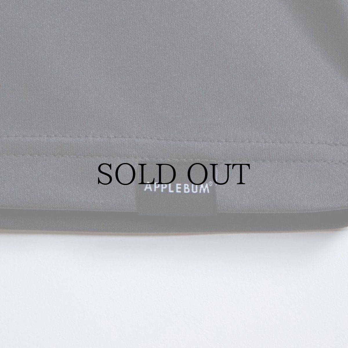 画像19: APPLEBUM(アップルバム) / ELITE PERFORMANCE (LOGO) T-SHIRT DRY (19)