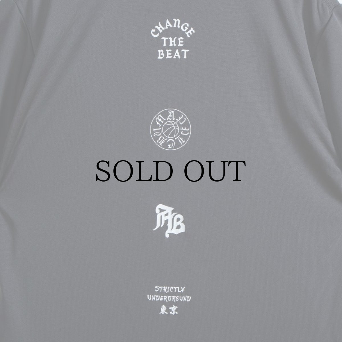 画像23: APPLEBUM(アップルバム) / ELITE PERFORMANCE (LOGO) T-SHIRT DRY (23)