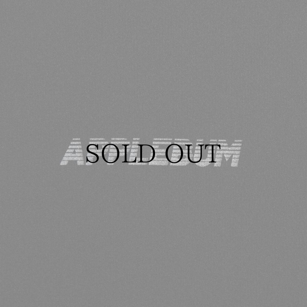 画像13: APPLEBUM(アップルバム) / ELITE PERFORMANCE (LOGO) T-SHIRT DRY (13)