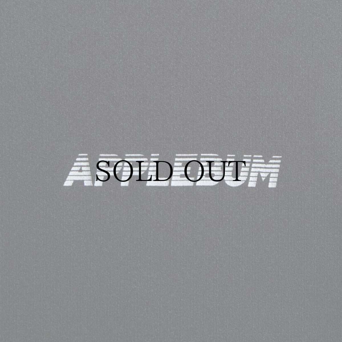 画像16: APPLEBUM(アップルバム) / ELITE PERFORMANCE (LOGO) T-SHIRT DRY (16)