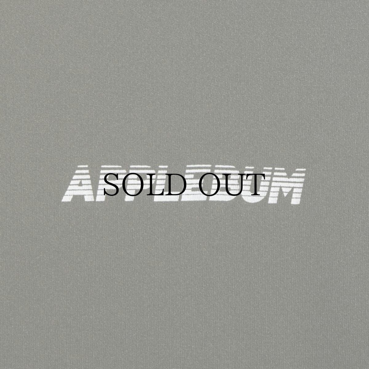 画像15: APPLEBUM(アップルバム) / ELITE PERFORMANCE (LOGO) T-SHIRT DRY (15)