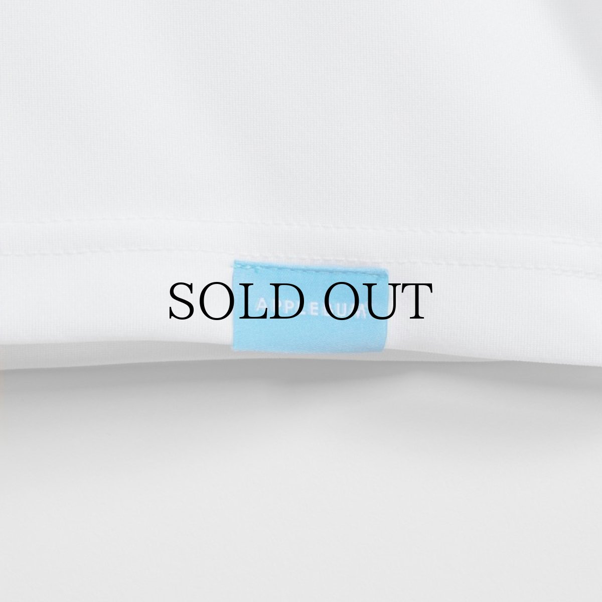 画像18: APPLEBUM(アップルバム) / ELITE PERFORMANCE (LOGO) T-SHIRT DRY (18)