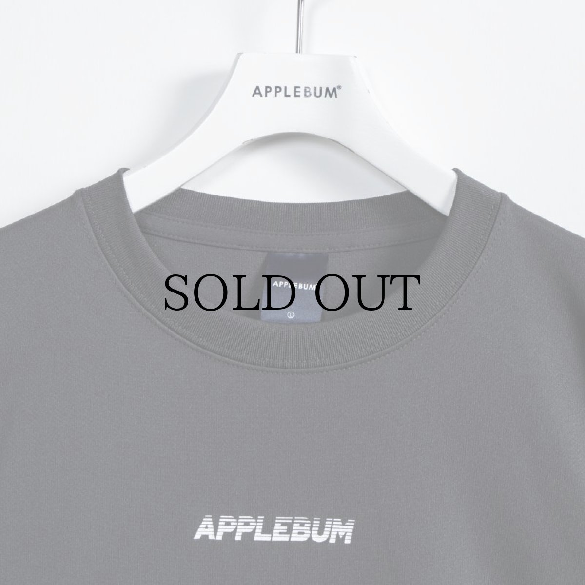 画像11: APPLEBUM(アップルバム) / ELITE PERFORMANCE (LOGO) T-SHIRT DRY (11)