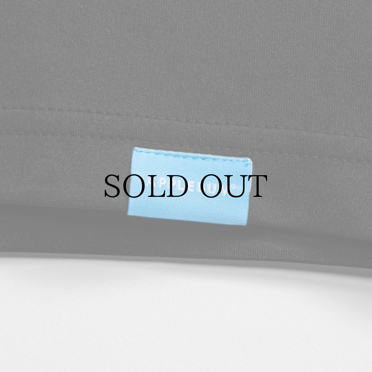 画像17: APPLEBUM(アップルバム) / ELITE PERFORMANCE (LOGO) T-SHIRT DRY (17)