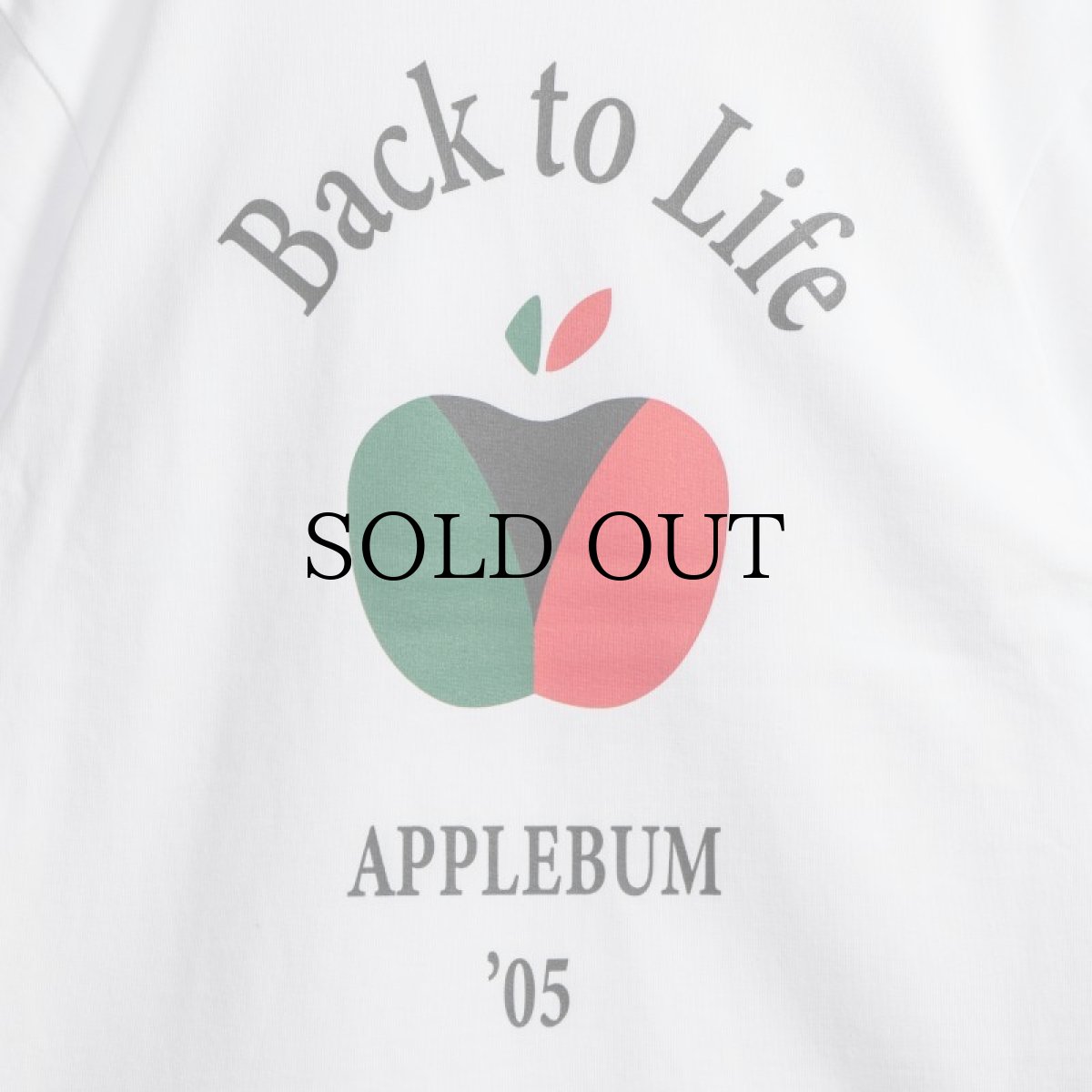画像9: APPLEBUM(アップルバム) / "BACK TO SCHOOL" T-SHIRT 12OZ (9)