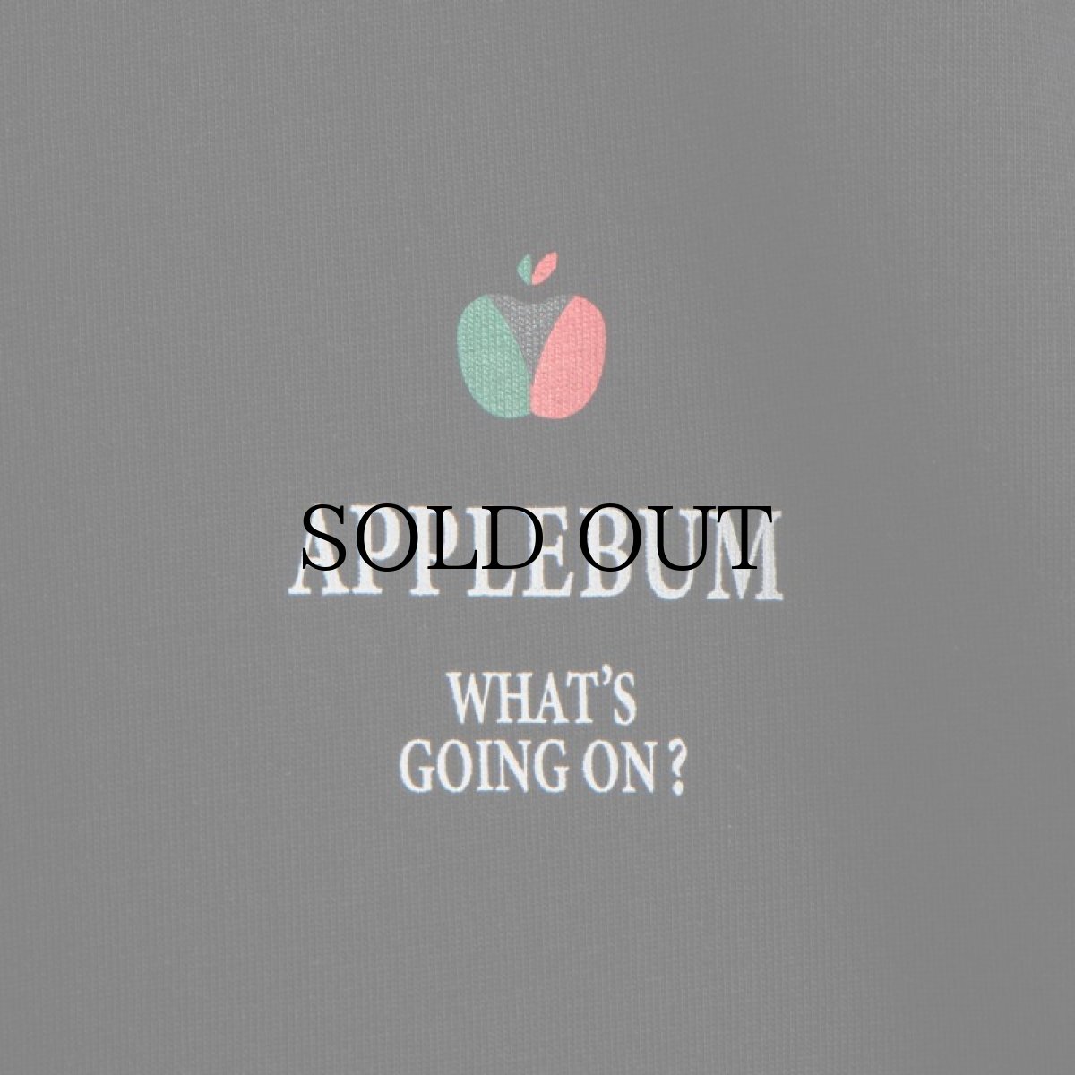 画像8: APPLEBUM(アップルバム) / "BACK TO SCHOOL" T-SHIRT 12OZ (8)