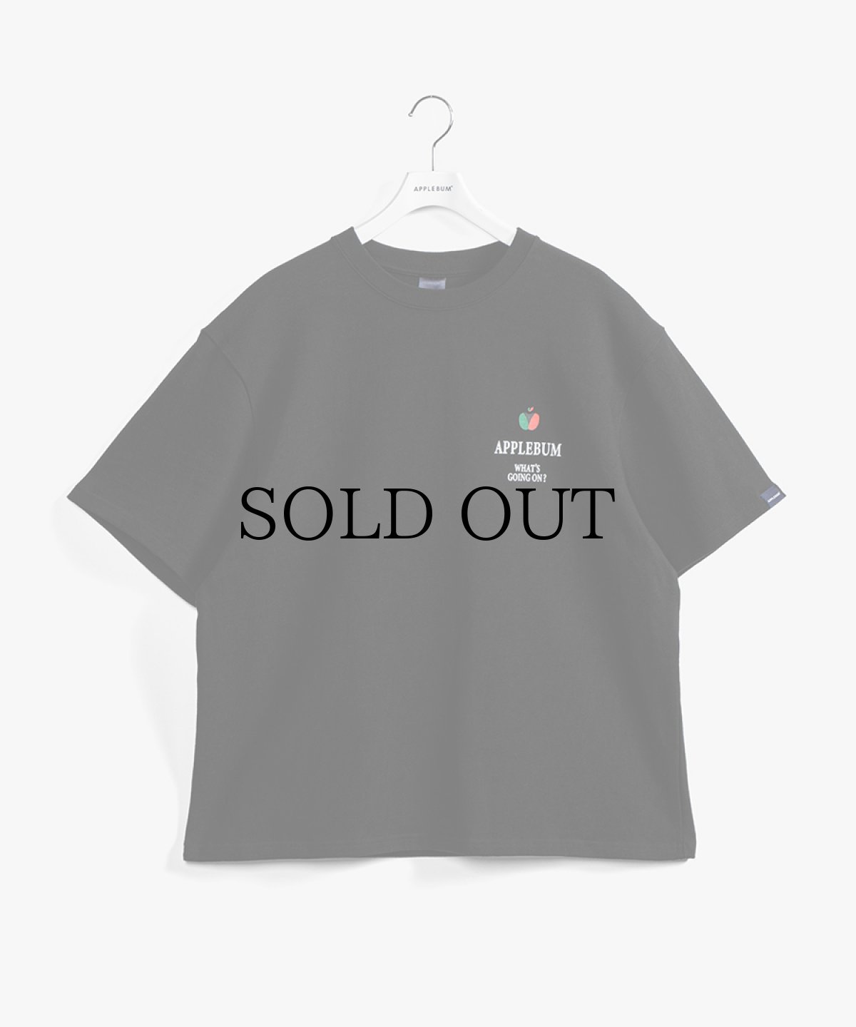 画像4: APPLEBUM(アップルバム) / "BACK TO SCHOOL" T-SHIRT 12OZ (4)