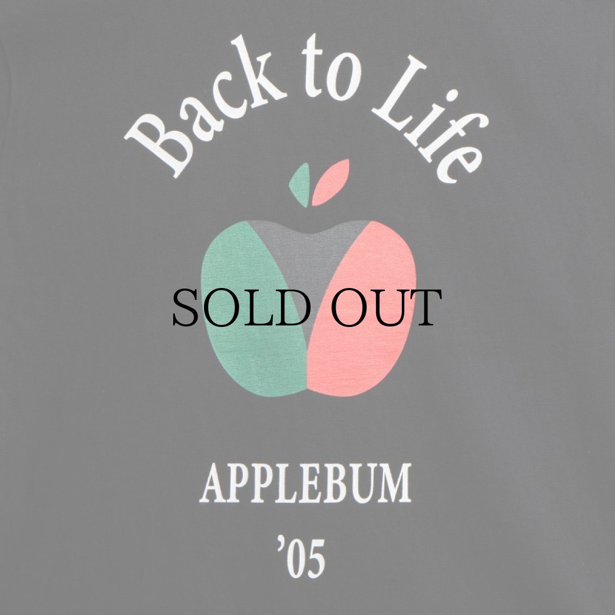 画像10: APPLEBUM(アップルバム) / "BACK TO SCHOOL" T-SHIRT 12OZ (10)