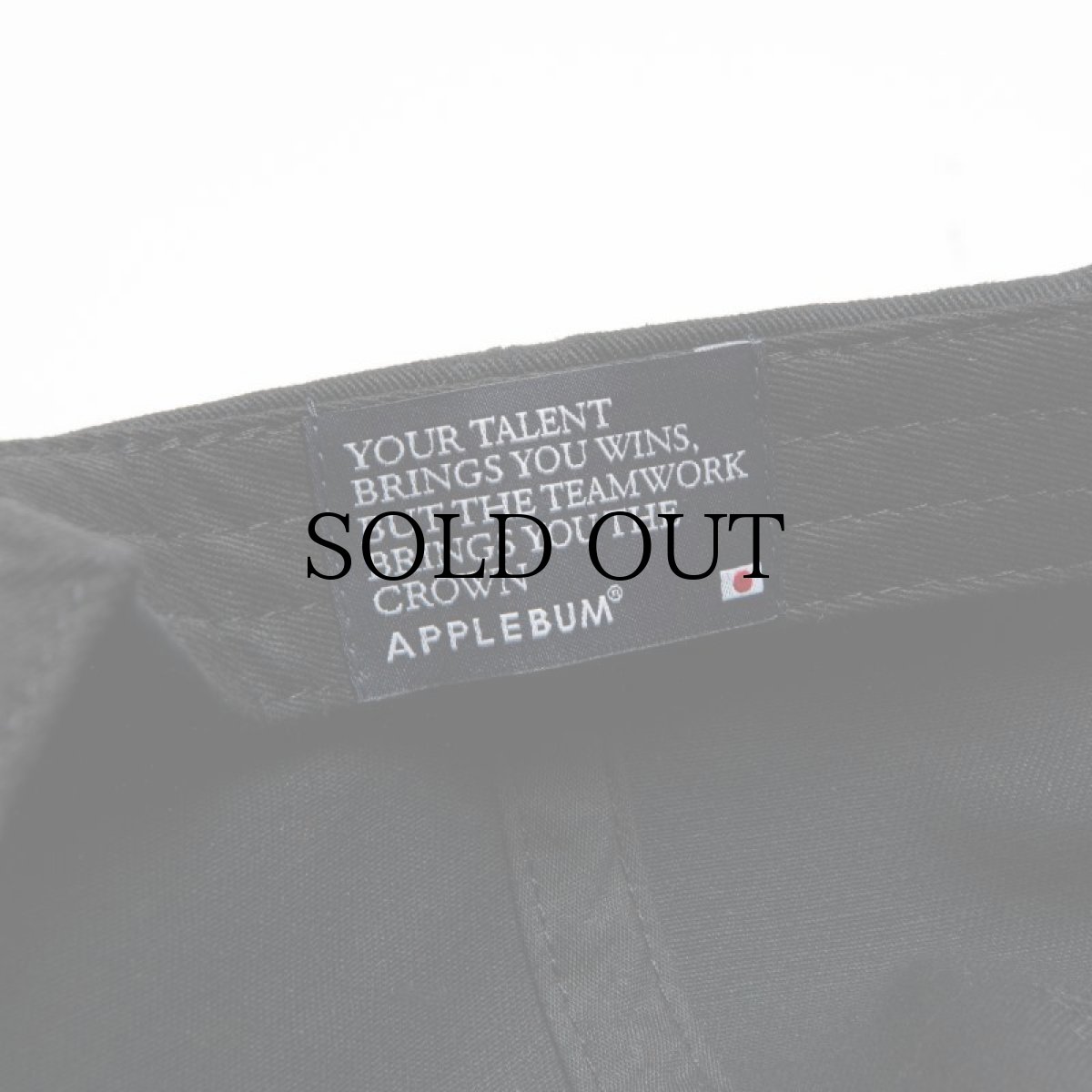 画像14: APPLEBUM(アップルバム) / "BUM SHIT" CAP (14)