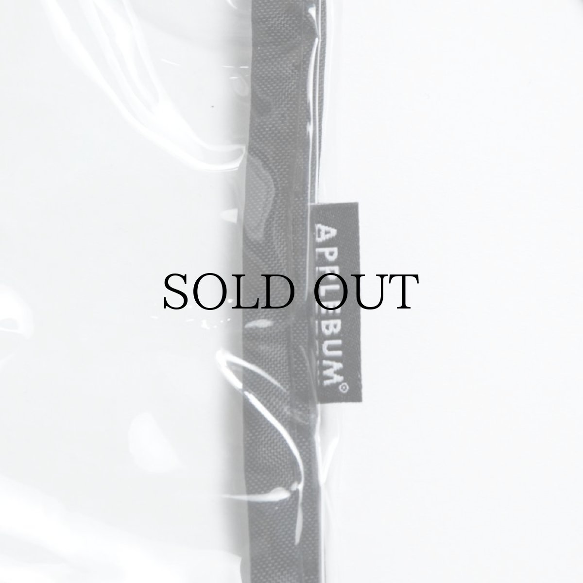 画像3: APPLEBUM(アップルバム) / CLEAR GYMSAC (3)