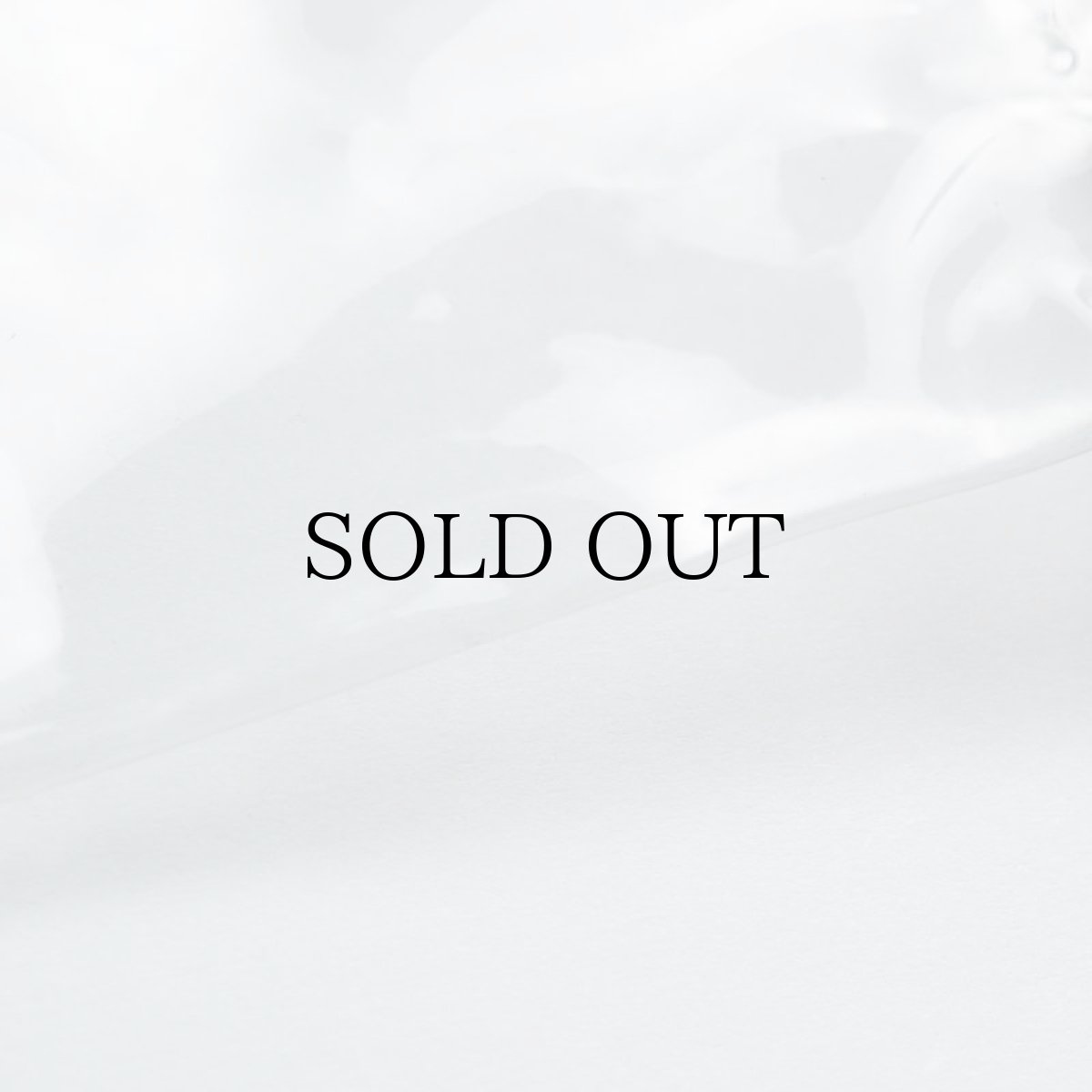 画像4: APPLEBUM(アップルバム) / CLEAR GYMSAC (4)