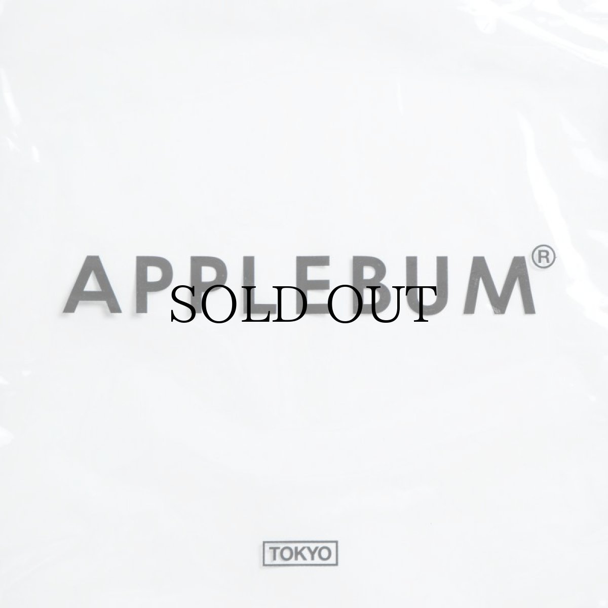 画像2: APPLEBUM(アップルバム) / CLEAR GYMSAC (2)