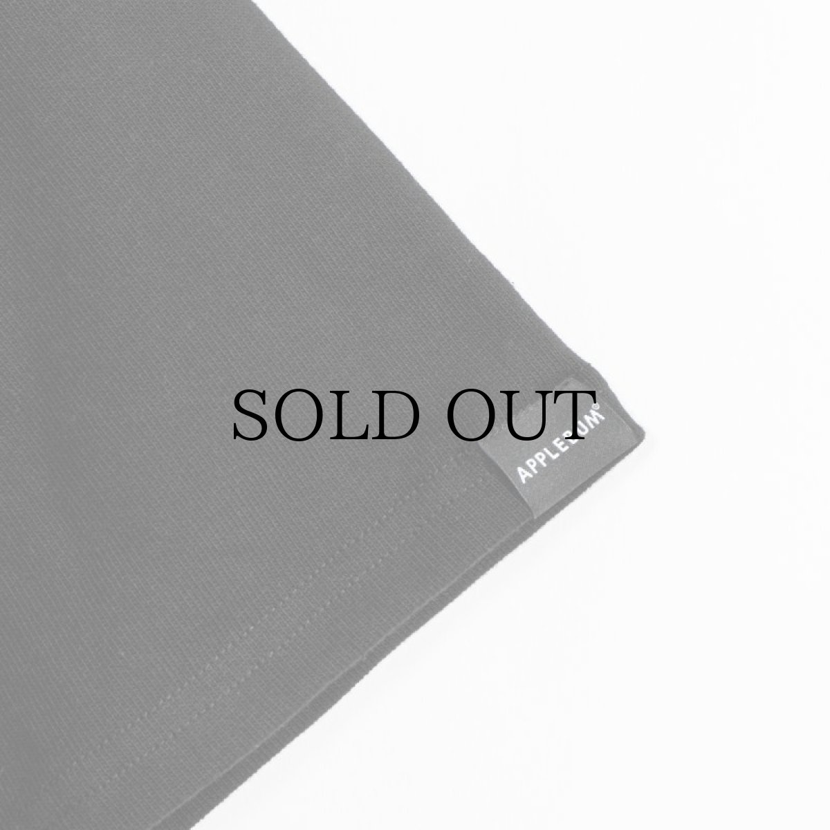 画像12: APPLEBUM(アップルバム) / ULTRA HEAVYWEIGHT POCKET T-SHIRT 12OZ (12)