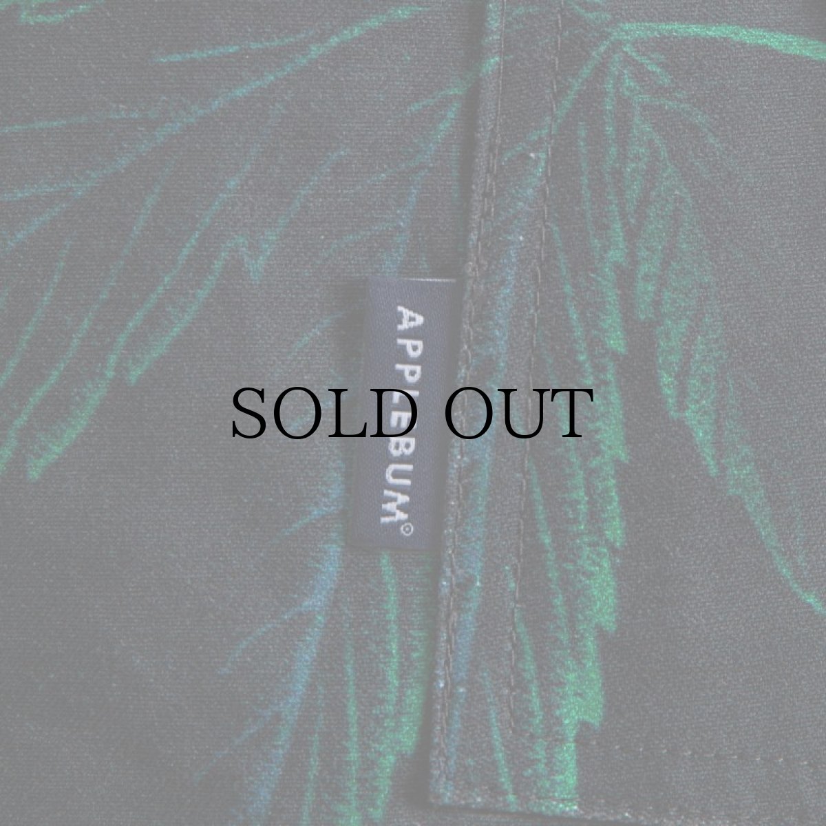 画像6: APPLEBUM(アップルバム) / "SOUR DIESEL" SHORT CARGO PANTS (6)