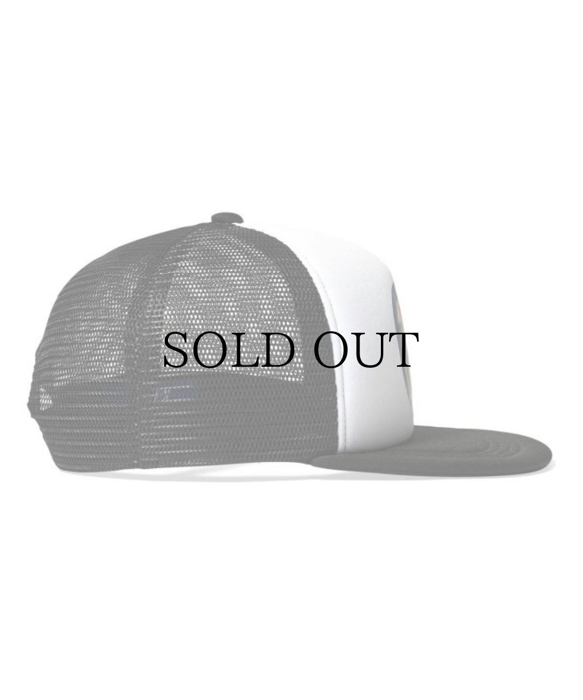 画像11: LFYT(ラファイエット) / LOTTERY TRUCKER CAP (11)
