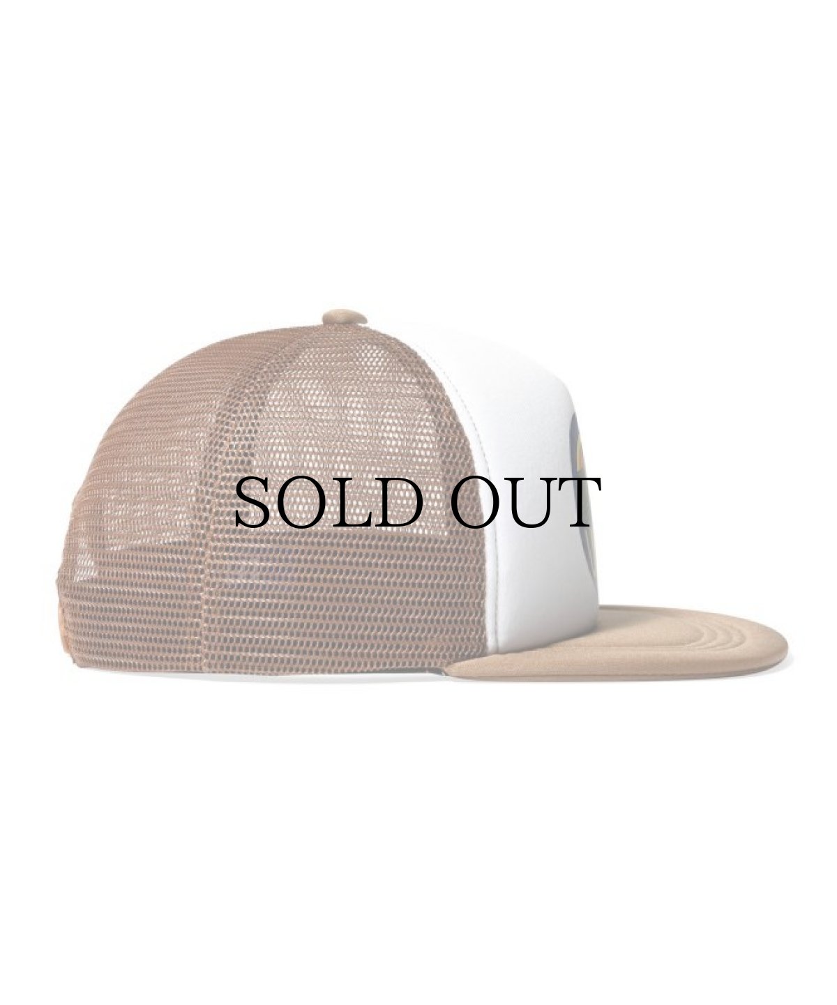 画像13: LFYT(ラファイエット) / LOTTERY TRUCKER CAP (13)