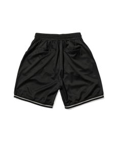画像8: 【20%OFF】 LFYT(ラファイエット) / SCRIPT LOGO MESH SHORTS (8)
