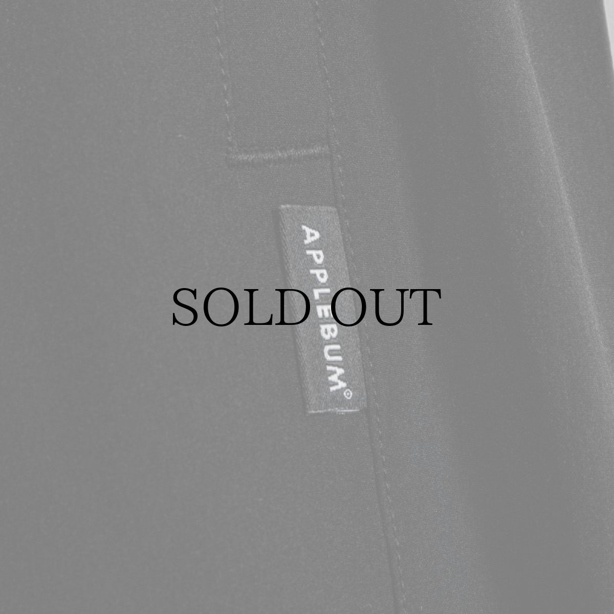 画像9: APPLEBUM(アップルバム) / LOGO BASKETBALL SHORTS (9)