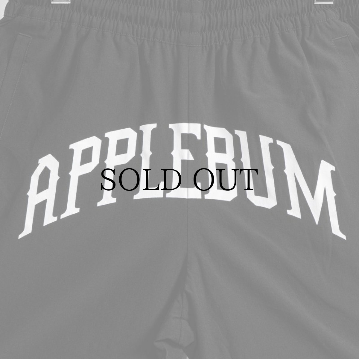 画像7: APPLEBUM(アップルバム) / LOGO BASKETBALL SHORTS (7)