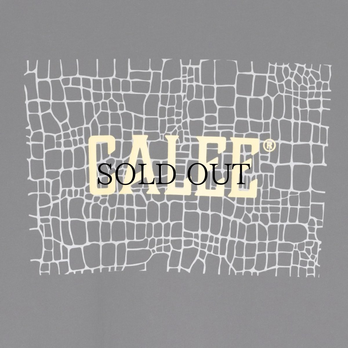 画像4: CALEE(キャリー) / ×OVERLAND REFLECTOR SPIDER WEB BOX LOGO TEE (4)