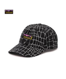 画像1: CALEE(キャリー) / ×OVERLAND REFLECTOR SPIDER WEB SOILD CAP (1)