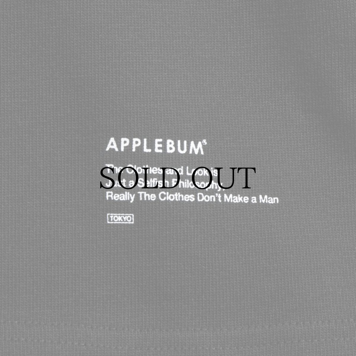 画像8: APPLEBUM(アップルバム) / ULTRA HEAVYWEIGHT BLANK T-SHIRT (12OZ) (8)