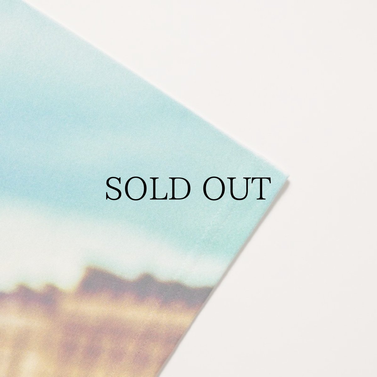 画像6: APPLEBUM(アップルバム) / "Stunts, Blunts & Hip Hop" All Print T-shirt (6)