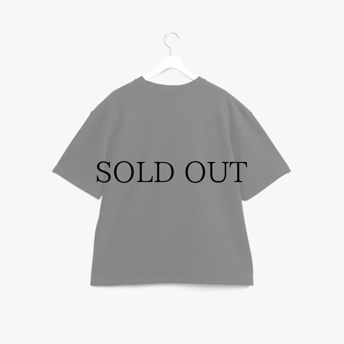 画像4: APPLEBUM(アップルバム) / ULTRA HEAVYWEIGHT BLANK T-SHIRT (12OZ) (4)