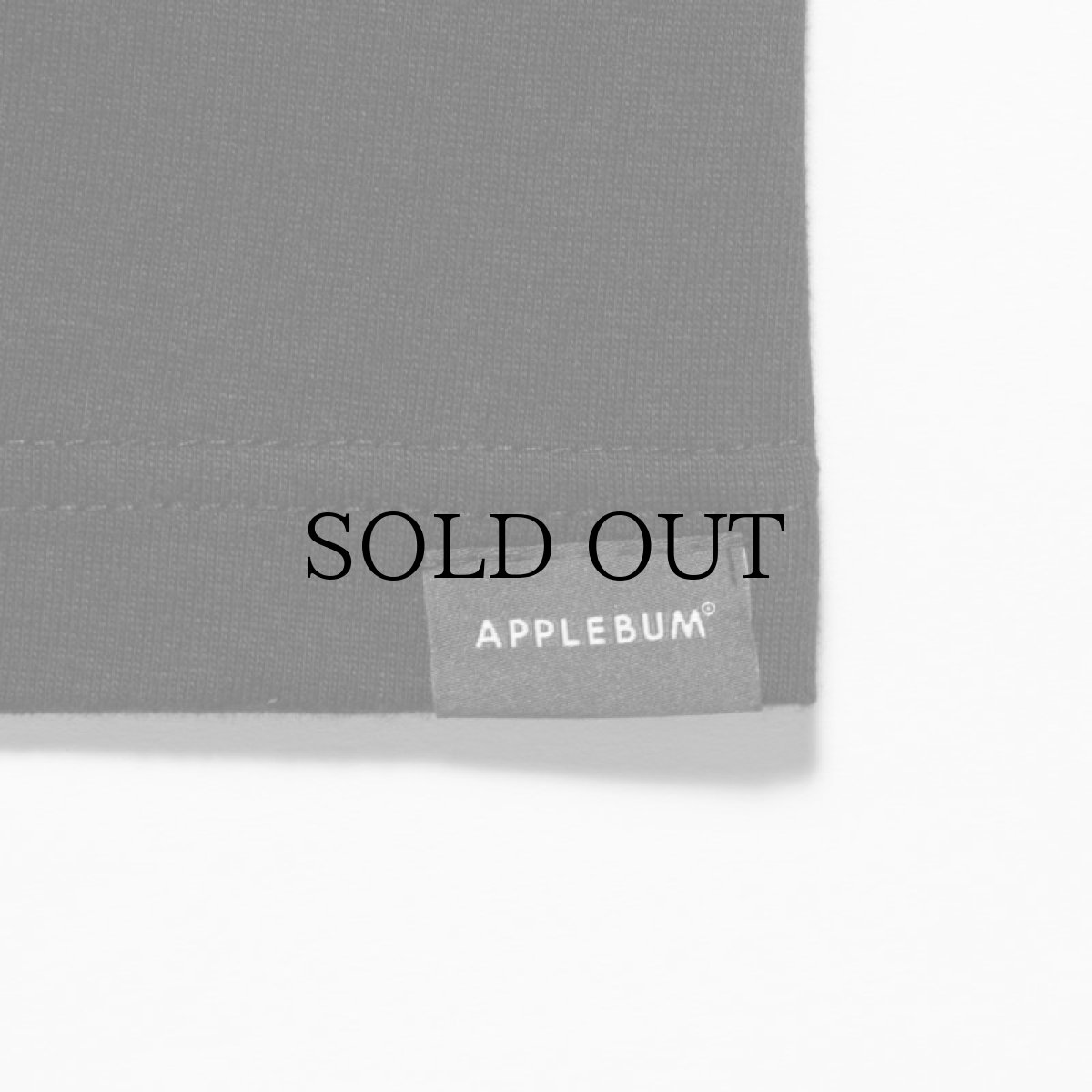 画像8: APPLEBUM(アップルバム) / "THE SUCCESSOR TO THE THRONE" T-SHIRT (8)