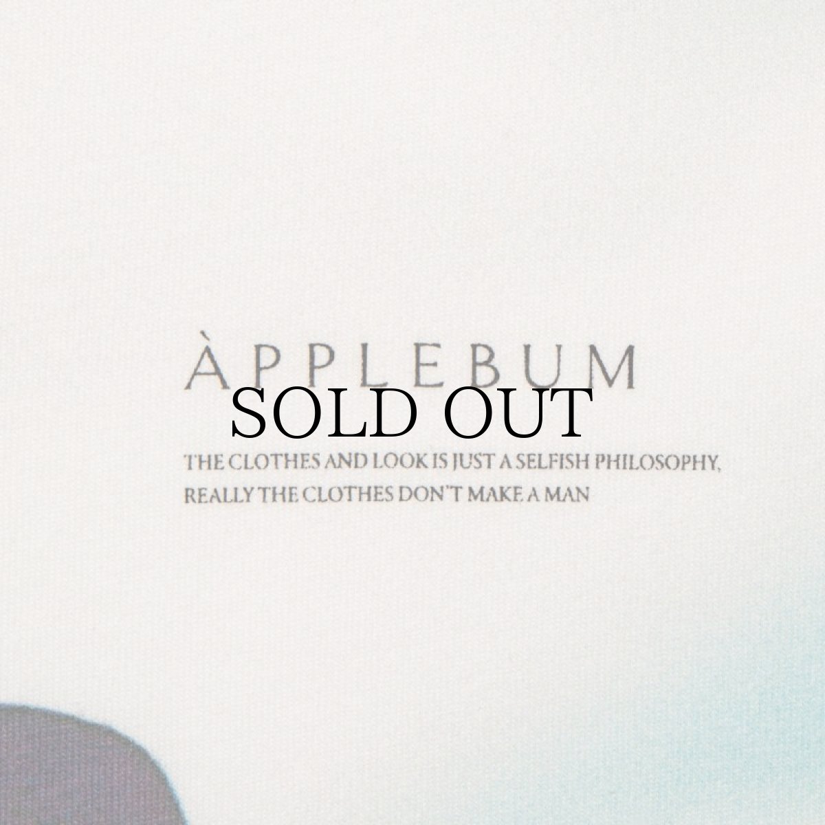 画像5: APPLEBUM(アップルバム) / "Stunts, Blunts & Hip Hop" All Print T-shirt (5)