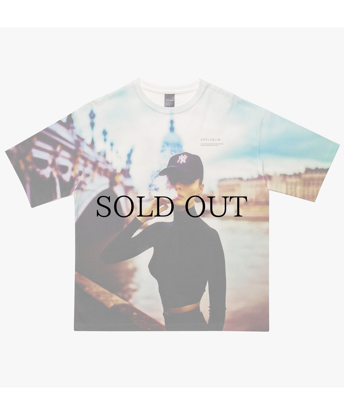 画像2: APPLEBUM(アップルバム) / "Stunts, Blunts & Hip Hop" All Print T-shirt (2)