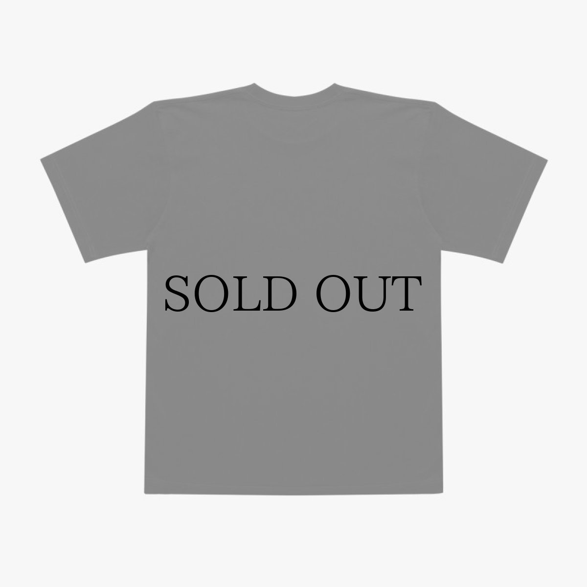 画像3: APPLEBUM(アップルバム) / "THE SUCCESSOR TO THE THRONE" T-SHIRT (3)