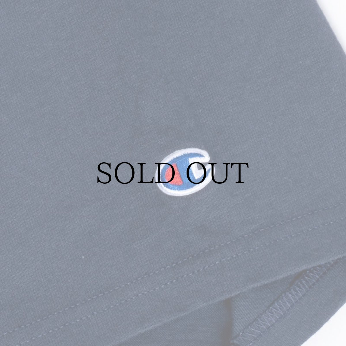 画像5: INTERBREED / DIGSPORT Heavy Weight SS Tee (5)