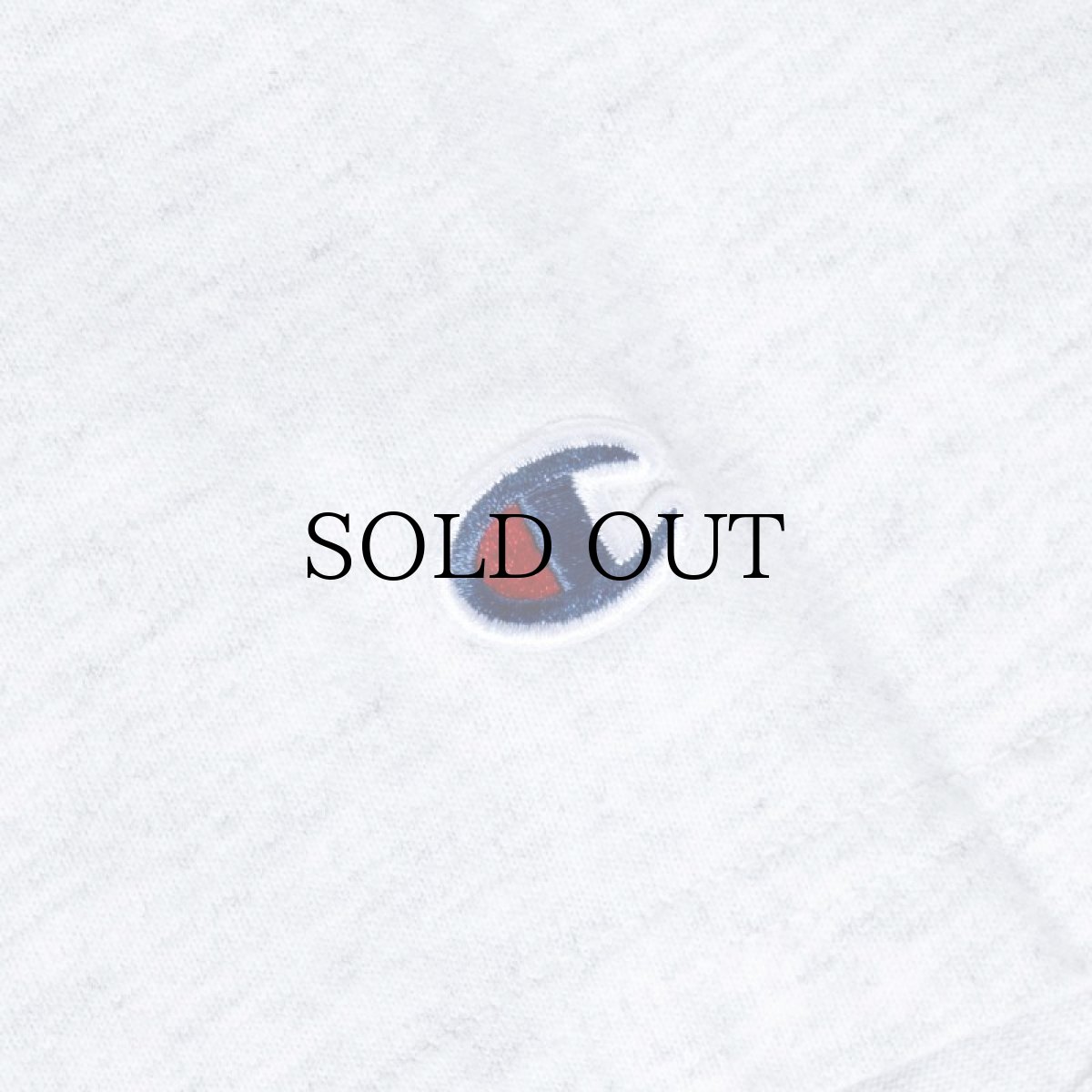 画像6: INTERBREED / DIGSPORT Heavy Weight SS Tee (6)