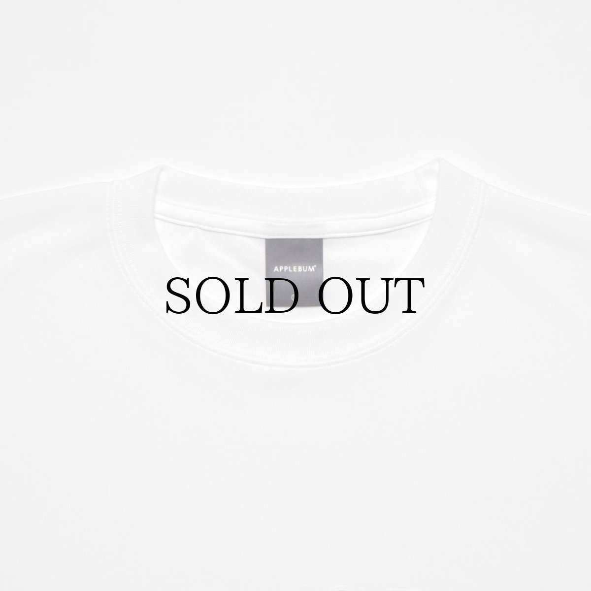 画像7: APPLEBUM(アップルバム) / “LOVE & UNDERSTANDING” ELITE PERFORMANCE T-SHIRT DRY (7)