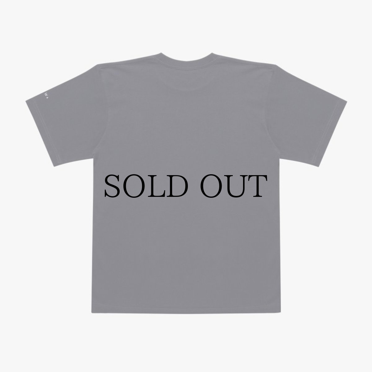 画像3: APPLEBUM(アップルバム) / "THE WIZARD" T-SHIRT 6.2OZ (3)